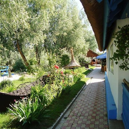 Casa Dintre Salcii Hotel Uzlina Esterno foto